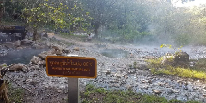 拜縣樹林之中浸溫泉