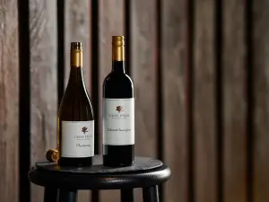 Vasse Felix
