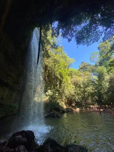 Palmas
