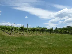 North Mountain Vineyard and Winery