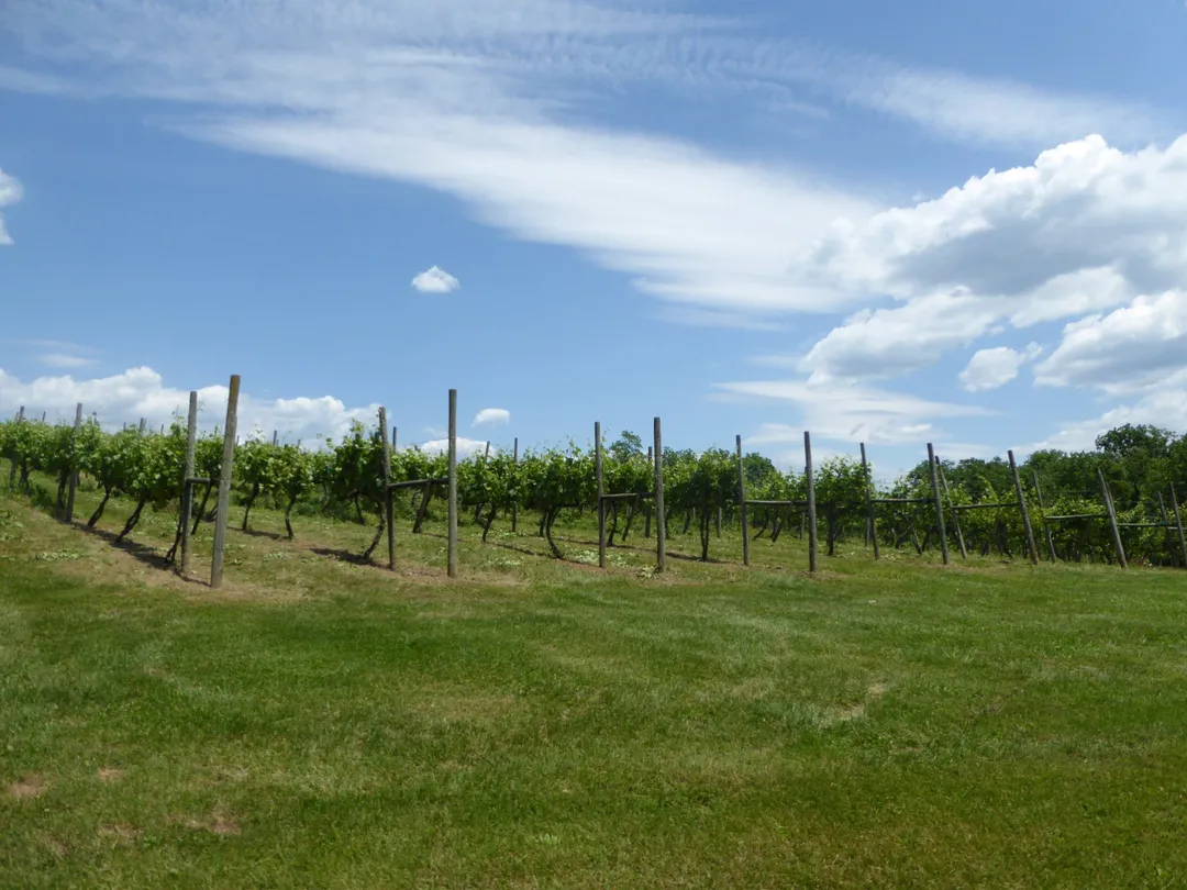 1_North Mountain Vineyard and Winery