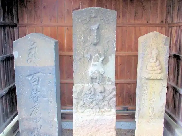 5_สวนฮิงาชิฟุชิเอะ