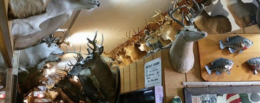 Guntzviller's Spirit of the Woods Museum
