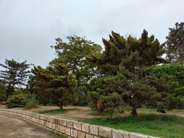 Antoniades Gardens