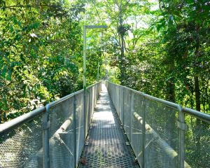 香港-居林 機票酒店 自由行