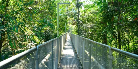 Sungai Sedim Recreational Forest