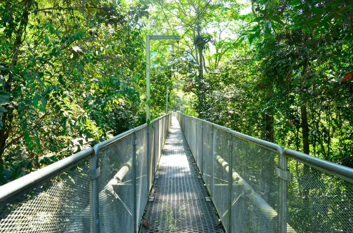 Hotels near Sungai Sedim Recreational Forest