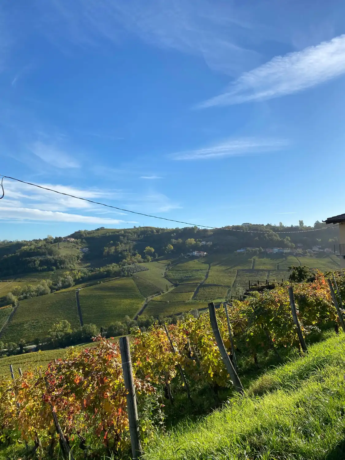 Hotels near Cascina Sot