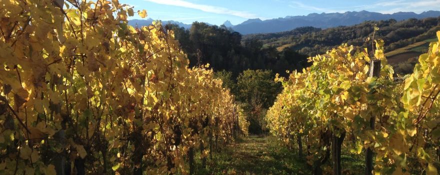 Cru Lamouroux
