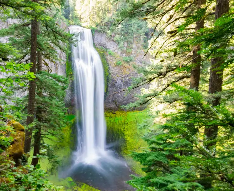 Hotels in Lane County