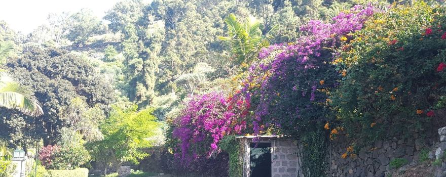 Jardines de la Marquesa
