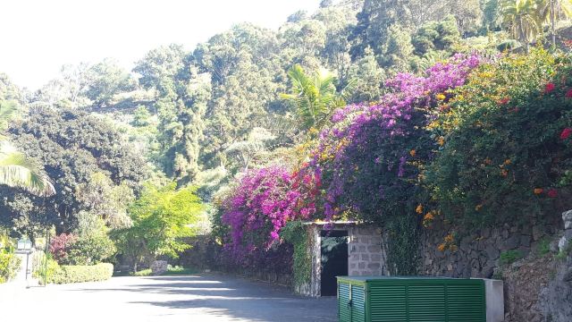 Jardines de la Marquesa