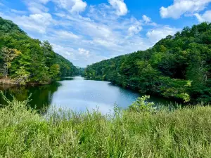 Steele Creek Park