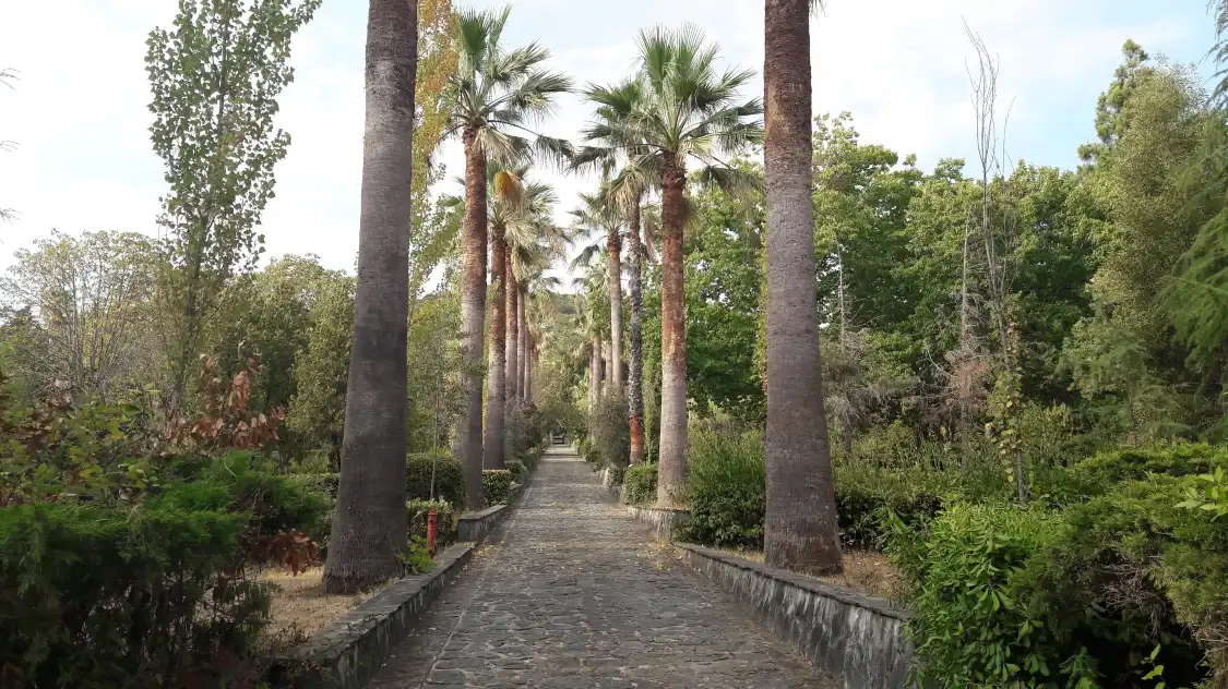 Hotels near Il giardino botanico di Lamezia Terme