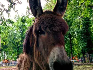 Park Imeni 300-Letiya Kubanskogo Kazach'yego Voyska