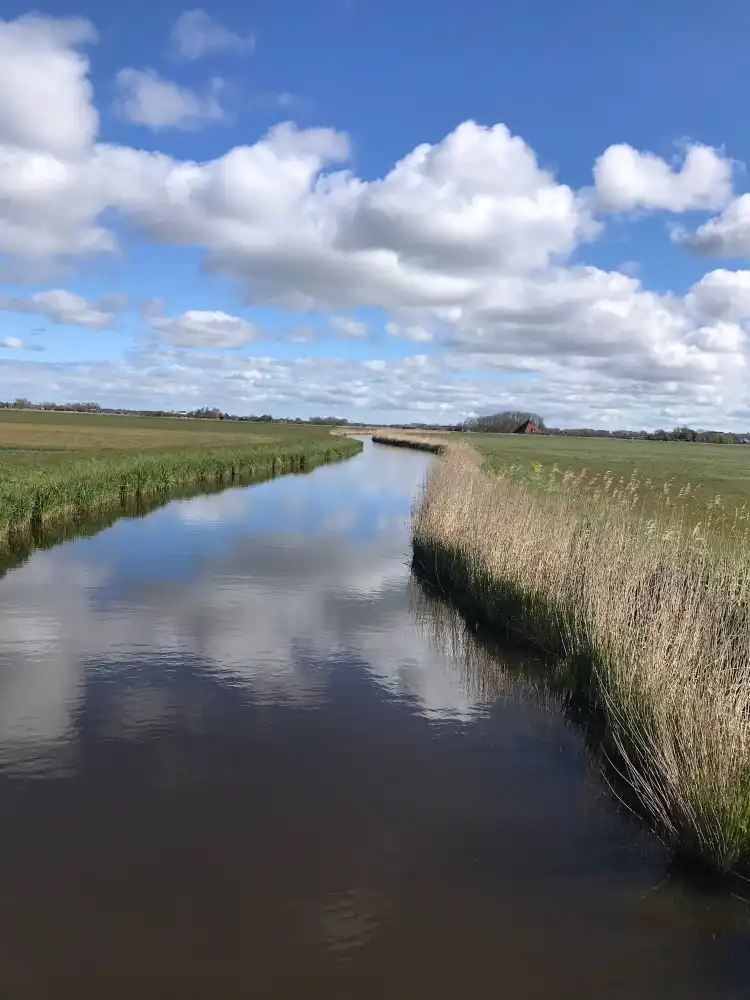 Egmond aan den Hoef