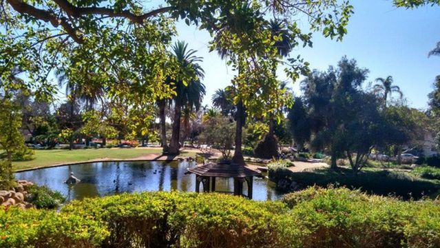 Alice Keck Park Memorial Garden