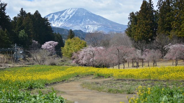 Nikko Daiyagawa Park
