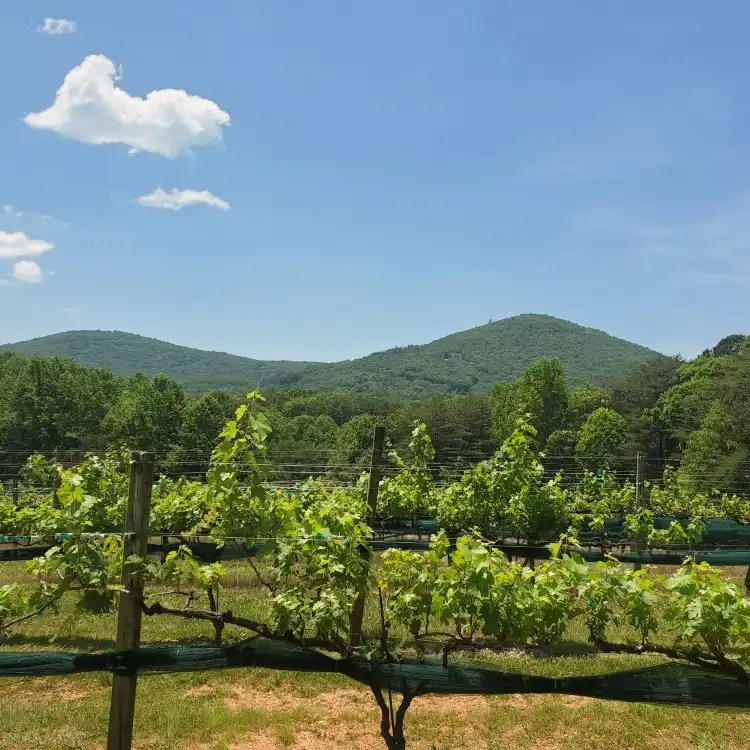 Microtel by Wyndham overnatningssteder i Jasper