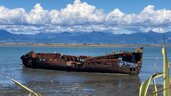 Janie Seddon Shipwreck