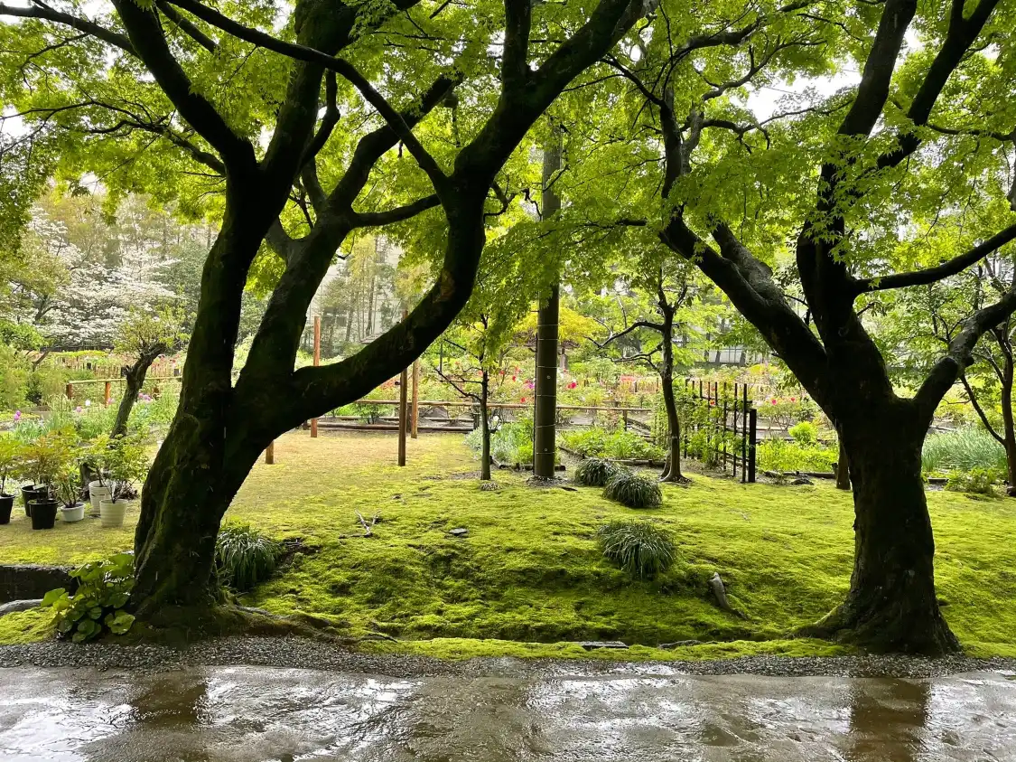 Hotels near Ochaya Yashiki Trace