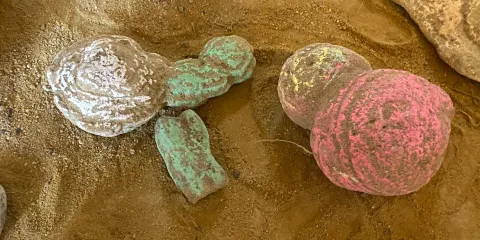 Museo dei Botroidi di Luigi Fantini