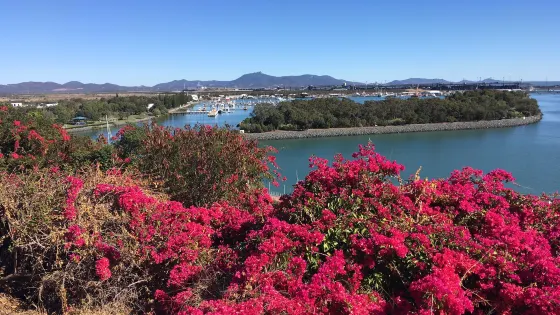 Auckland Hill