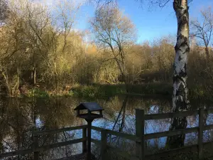 Daneshill Lakes
