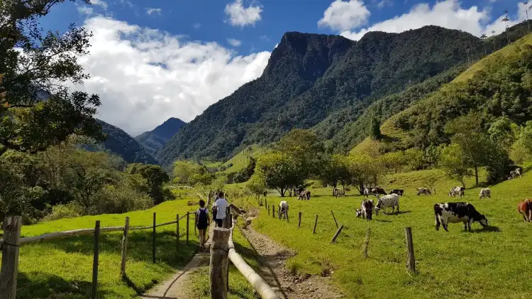 Hotels near Valle del Cocora
