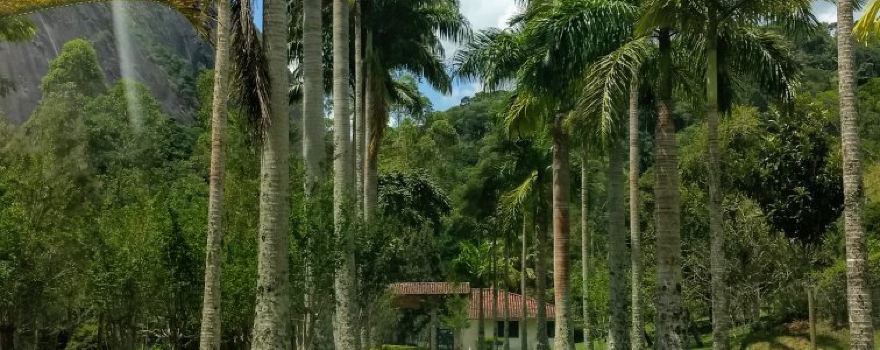 Bom Jardim