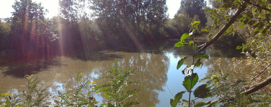 Riserva naturale orientata Parma Morta