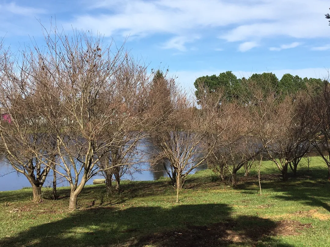 5_Epagri - San Joaquin Experimental Station