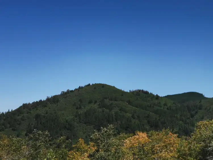 Каукенес