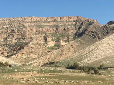 Governatorato di Ninawa