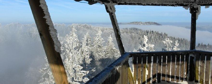 Aussichtsturm Albis-Hochwacht