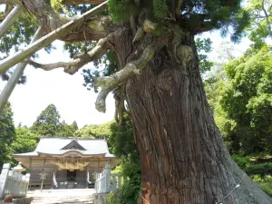 Yao-sugi
