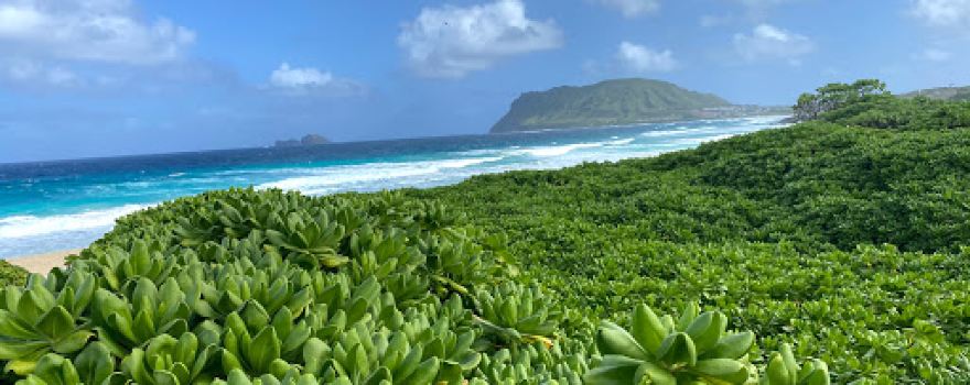 Pyramid Rock Beach
