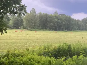 Milo Recreation Department