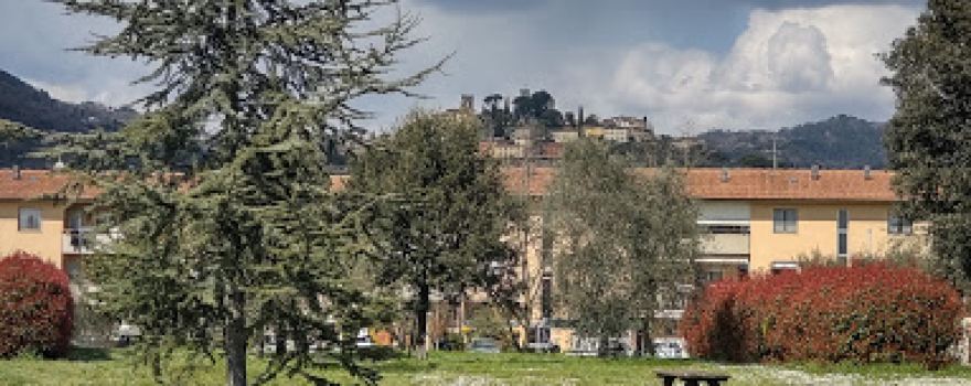 Public Park Via Landini
