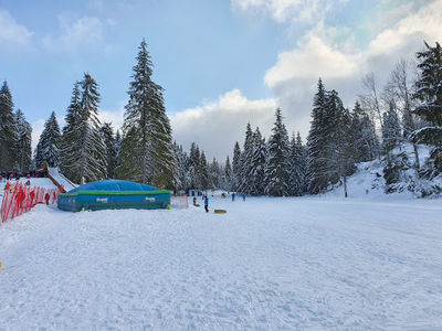 Stâna de Vale