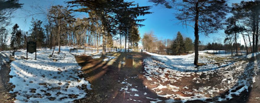 Kathryn Gorman Ponds Park