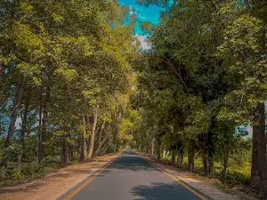 Fareda Garden