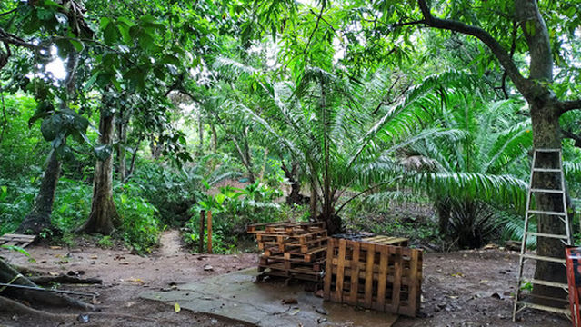 The Zone Paintball Panama