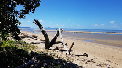Wonga Beach Park