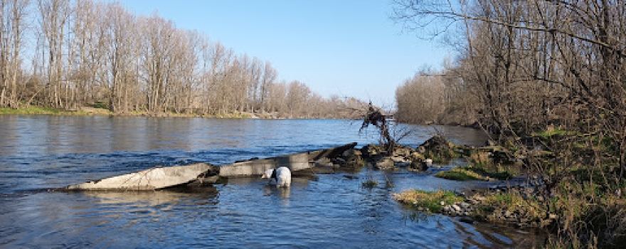 Parco Bisarca