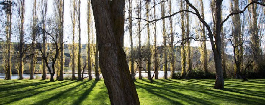Deschutes River State Recreation Area