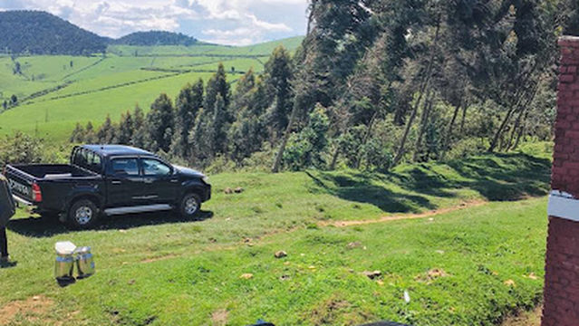 Ibere Rya Bigogwe Campsite and Cow Experience