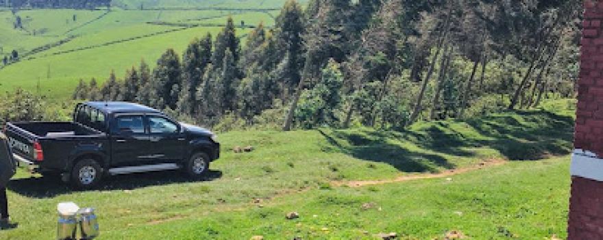 Ibere Rya Bigogwe Campsite and Cow Experience