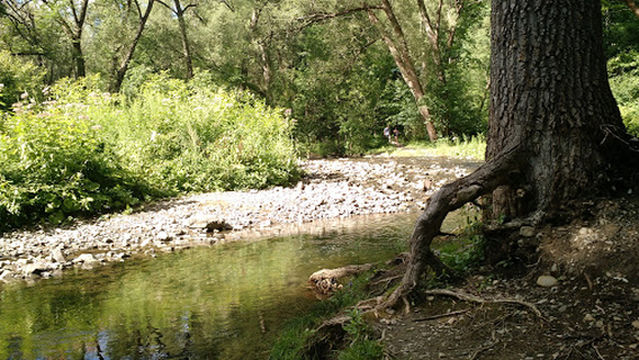 Centre de loisirs La Cavée