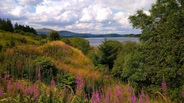 Carron Valley Mountain Bike Trails